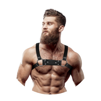 harness barbati