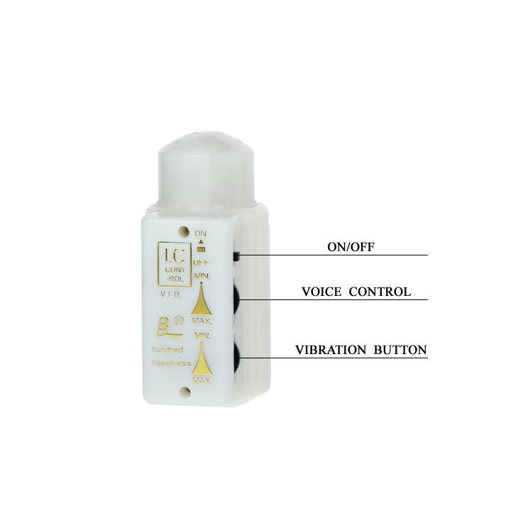 Masturbator Realistic Penis si Anus, Baile - Mr Big, Vibratie si Control Vocal